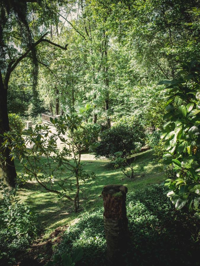 Miazzina Corte Di Cavne'ヴィラ エクステリア 写真